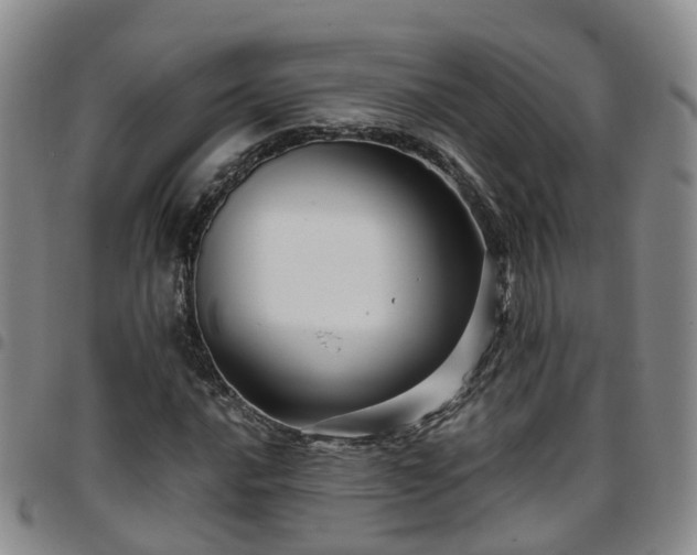 X0000097751016200803141552