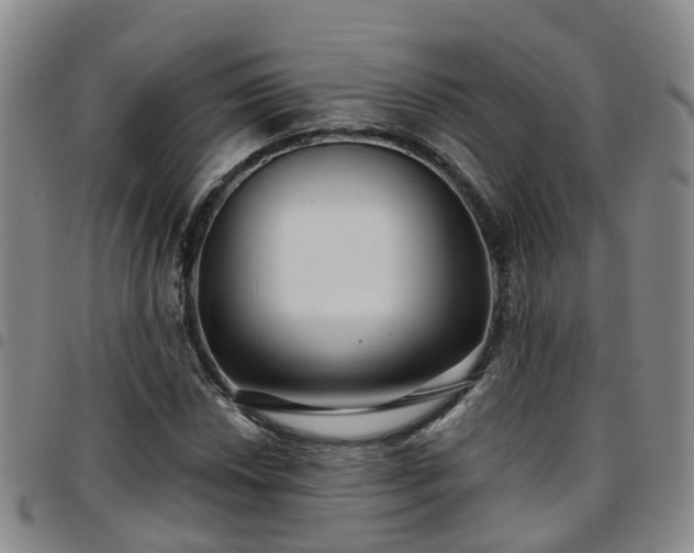 X0000097751018200803141552