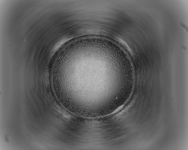 X0000097751019200803141552