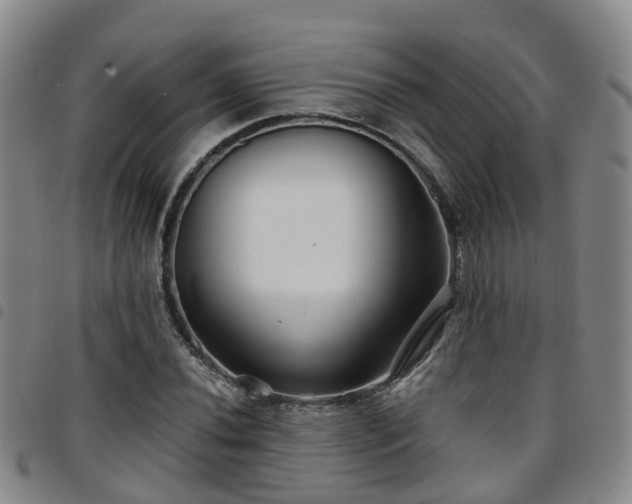 X0000097751020200803141552