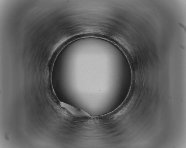 X0000097751021200803141552