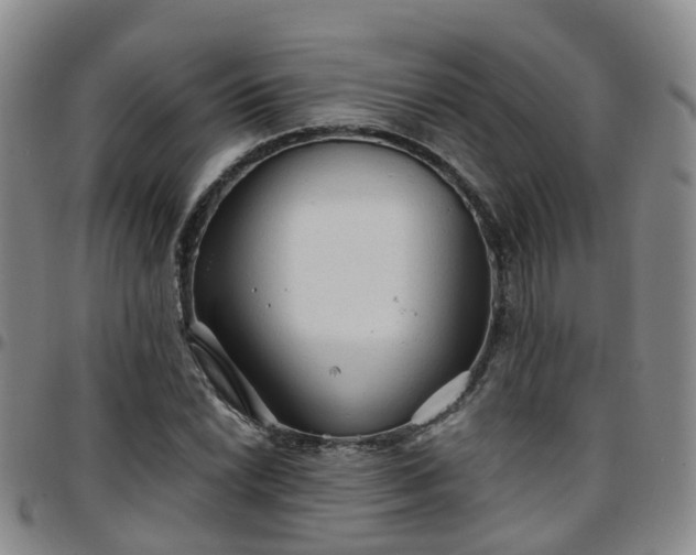 X0000097751022200803141552