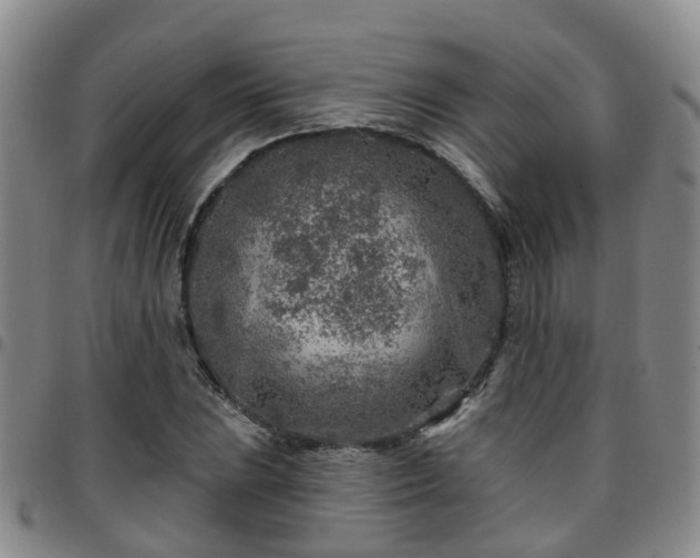 X0000097751023200803141552