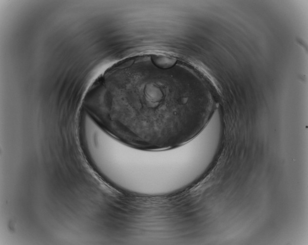 X0000097751024200803141552