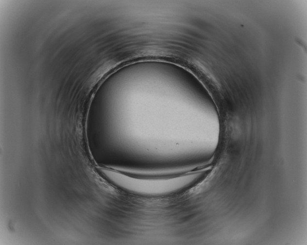 X0000097751025200803141552