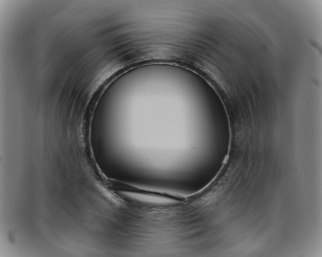 X0000097751026200803141552