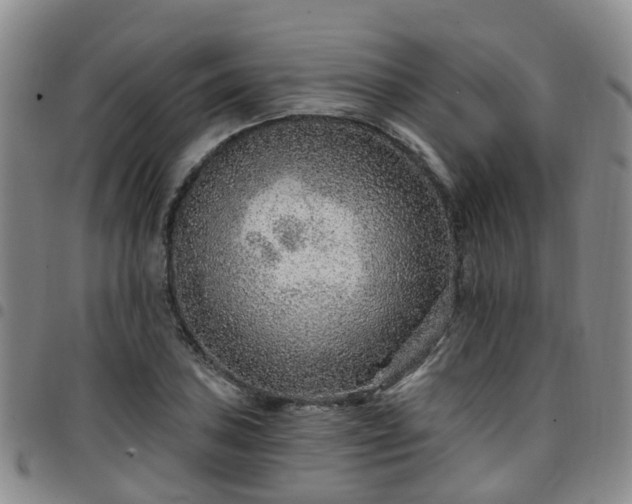 X0000097751027200803141552