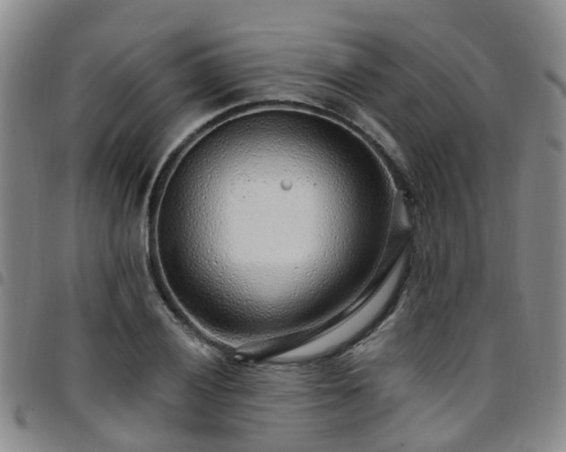 X0000097751028200803141552