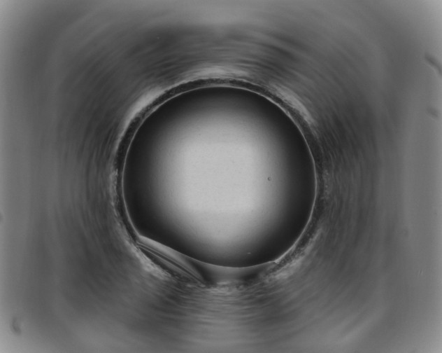 X0000097751029200803141552