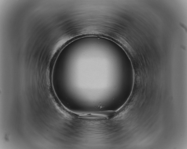 X0000097751030200803141552