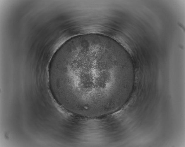 X0000097751031200803141552