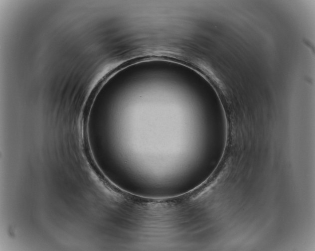 X0000097751032200803141552