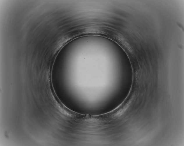 X0000097751033200803141552