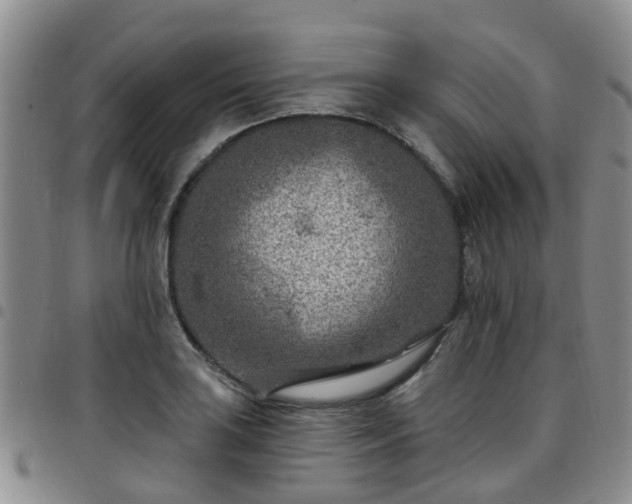 X0000097751035200803141552