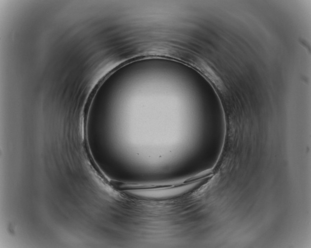 X0000097751036200803141552