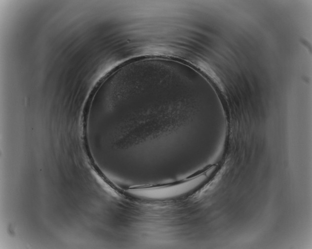 X0000097751037200803141552