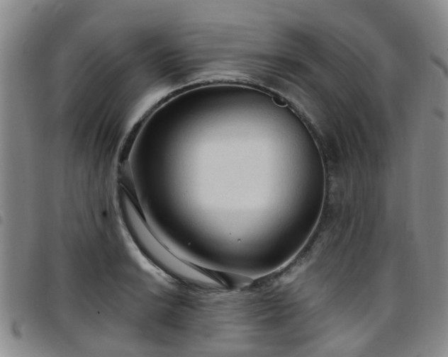 X0000097751038200803141552