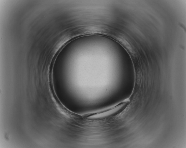 X0000097751039200803141552