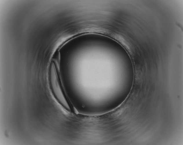 X0000097751040200803141552