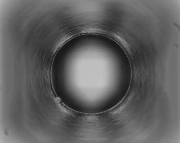 X0000097751041200803141552