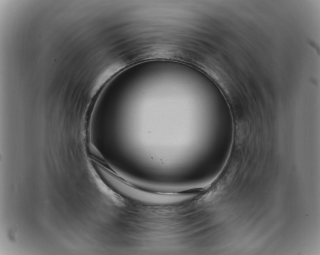 X0000097751042200803141552