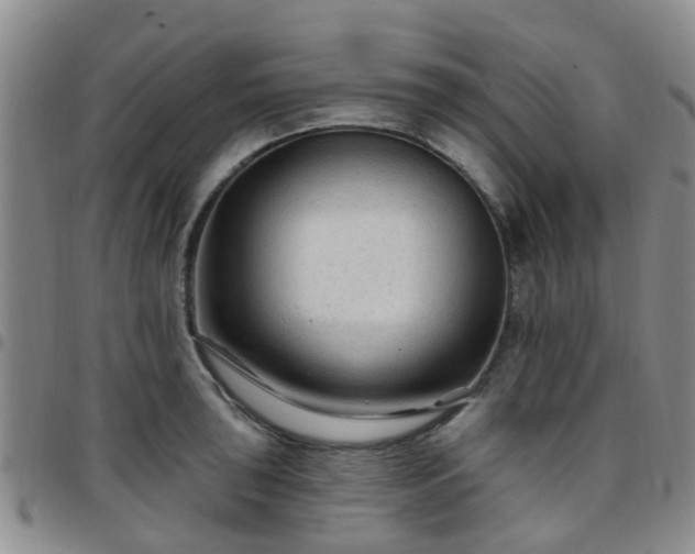 X0000097751043200803141552