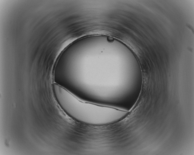 X0000097751044200803141552