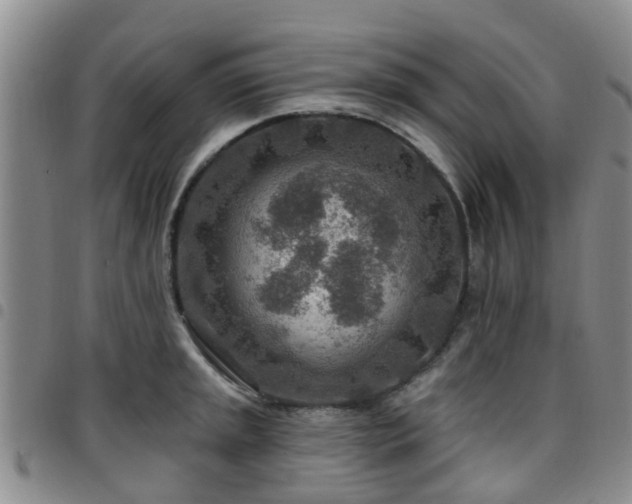 X0000097751045200803141552