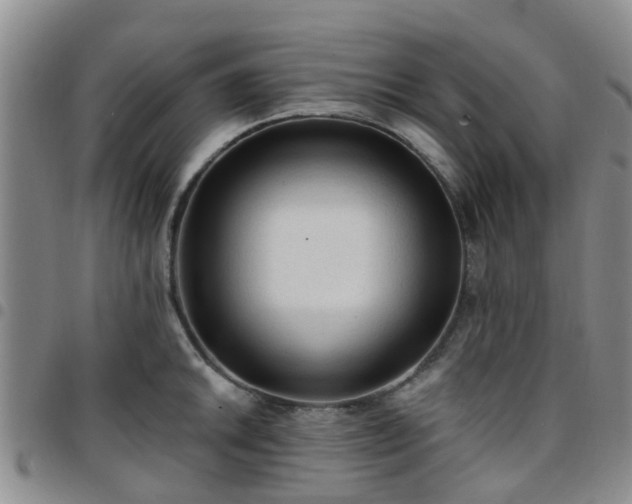 X0000097751046200803141552