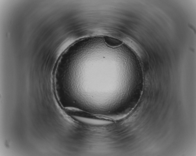 X0000097751047200803141552