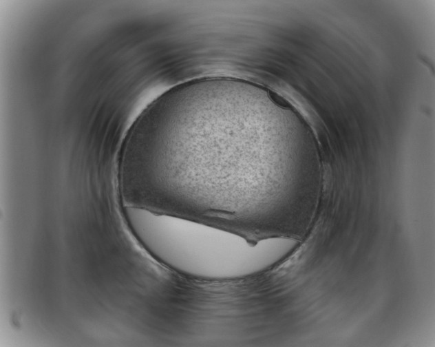 X0000097751048200803141552