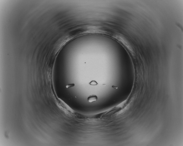 X0000097751049200803141552