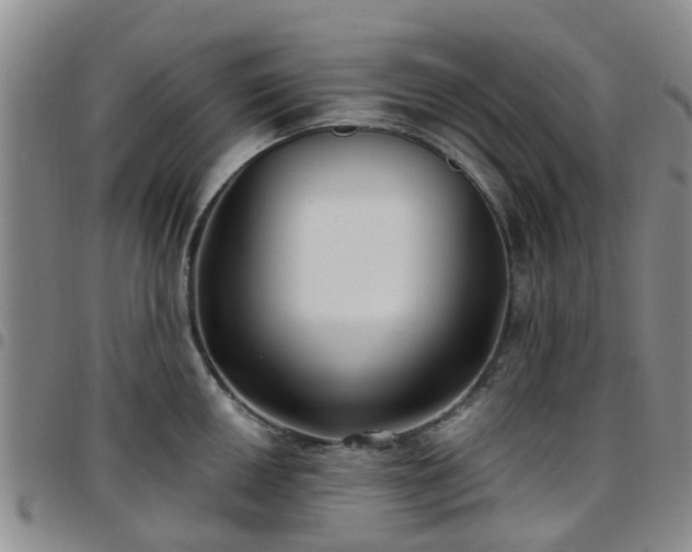 X0000097751050200803141552