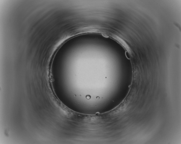 X0000097751051200803141552