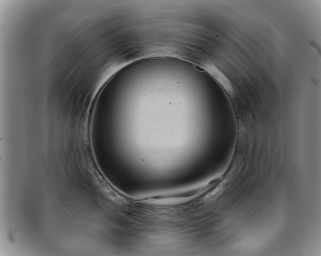 X0000097751052200803141552