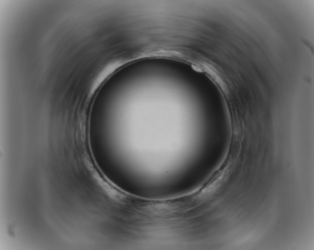 X0000097751054200803141552