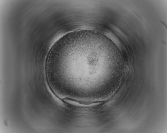 X0000097751055200803141552