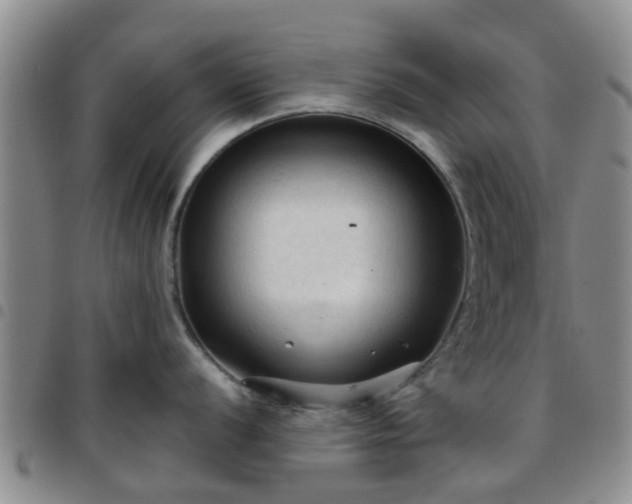 X0000097751056200803141552