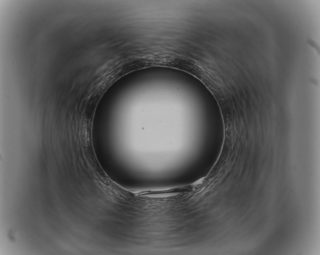 X0000097751058200803141551