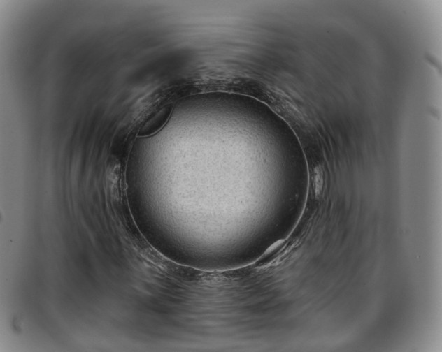 X0000097751059200803141551