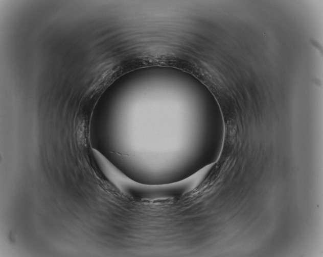 X0000097751060200803141551