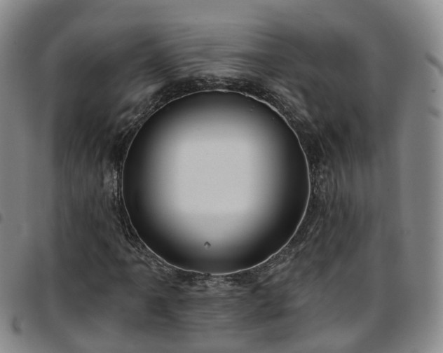 X0000097751061200803141551