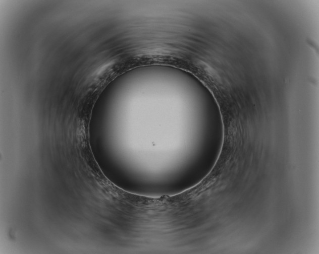 X0000097751062200803141551