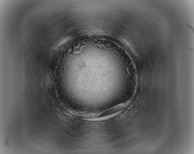 X0000097751063200803141551