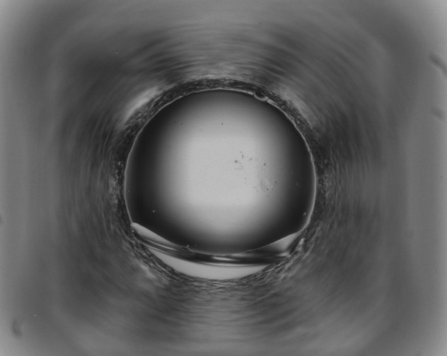 X0000097751064200803141551