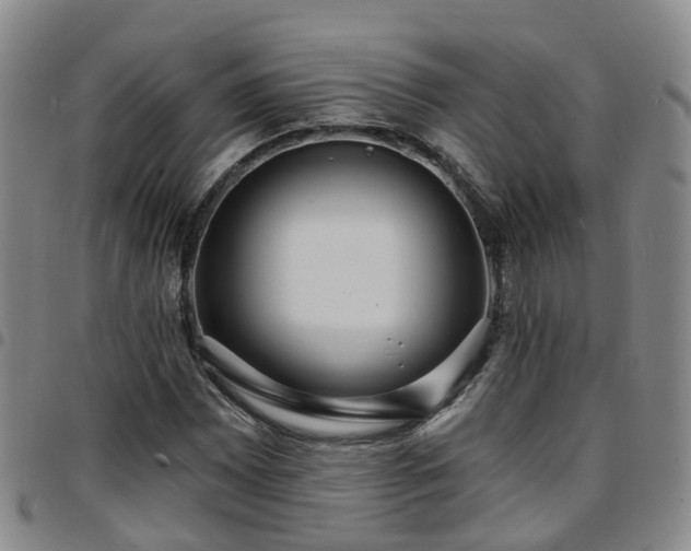 X0000097751065200803141551