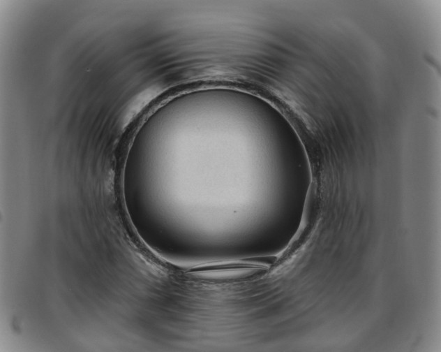 X0000097751066200803141551