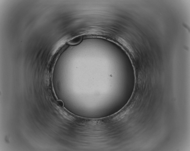 X0000097751067200803141551