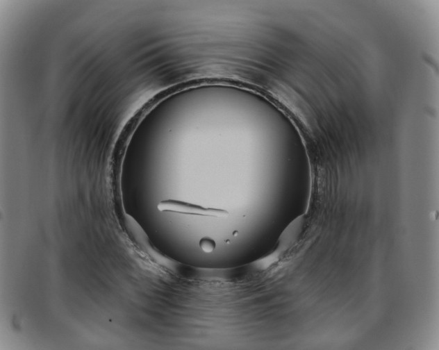 X0000097751068200803141551