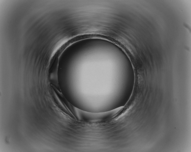 X0000097751069200803141551